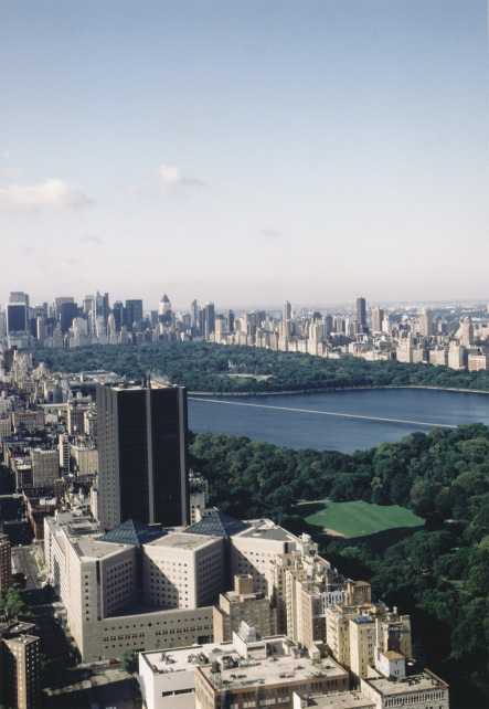 The Mount Sinai Medical Cente